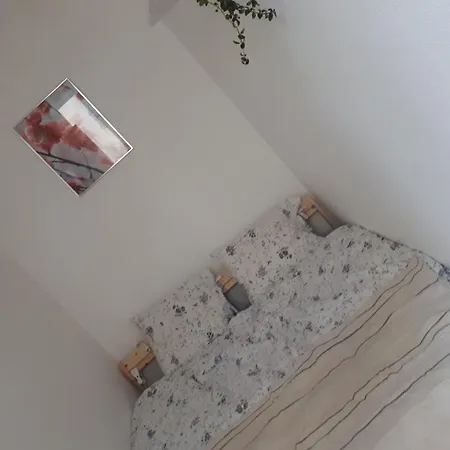 Paris Les Puces Flat